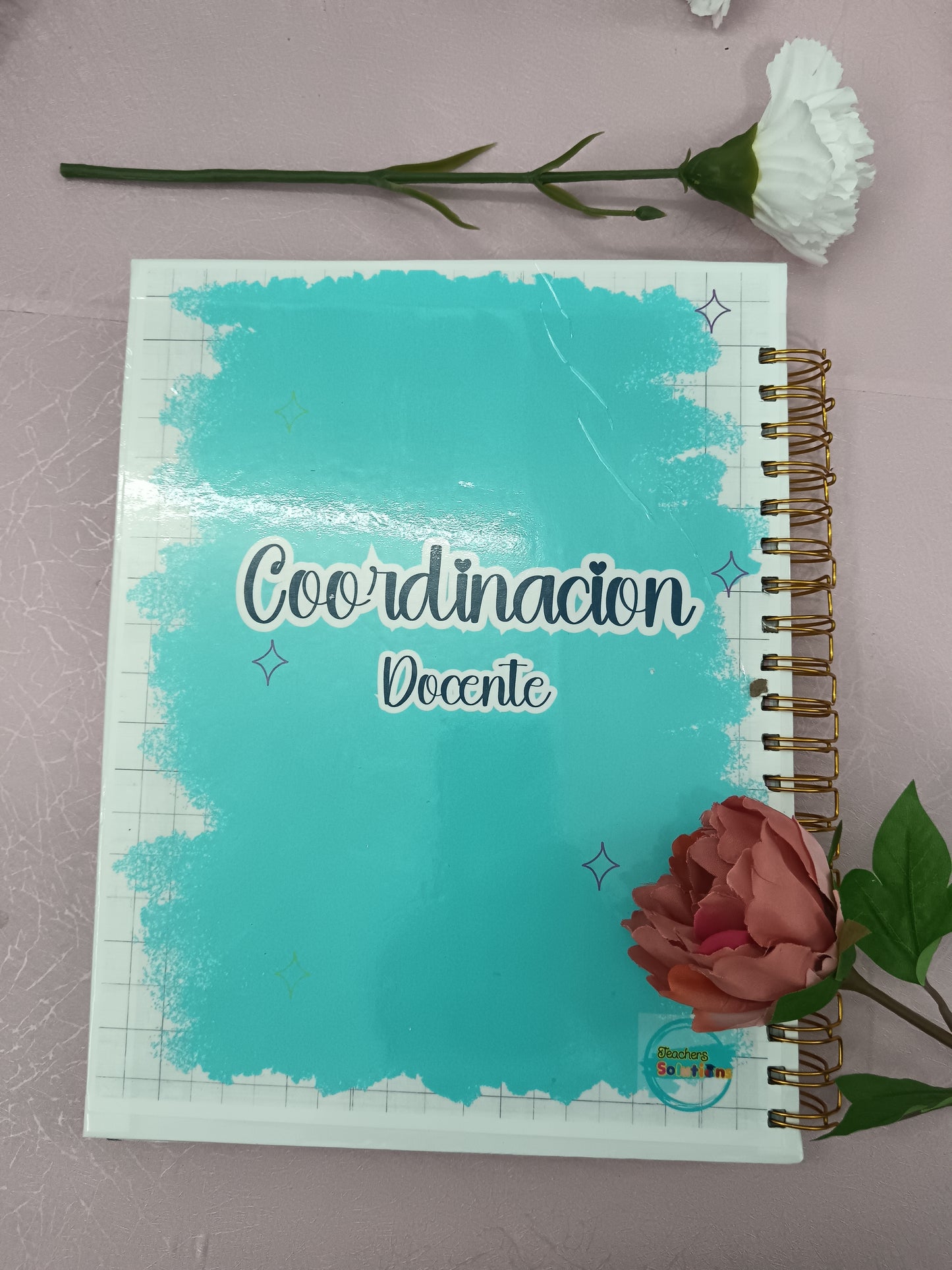 Coordinador Nivel Secundario