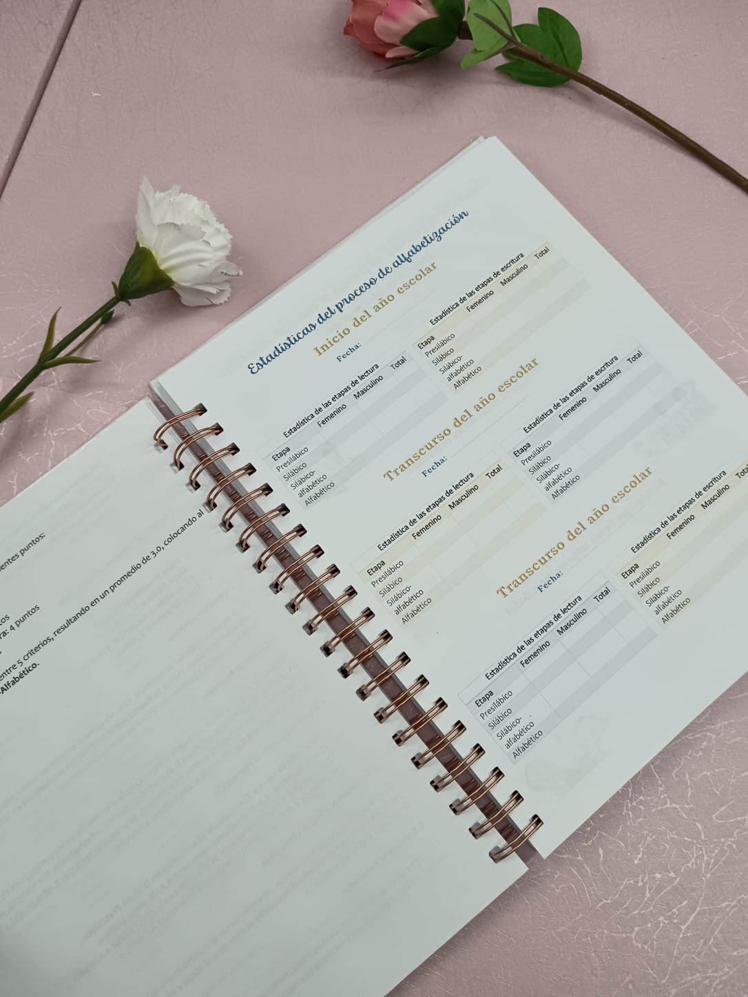 Registro anecdótico 1er ciclo 25-26