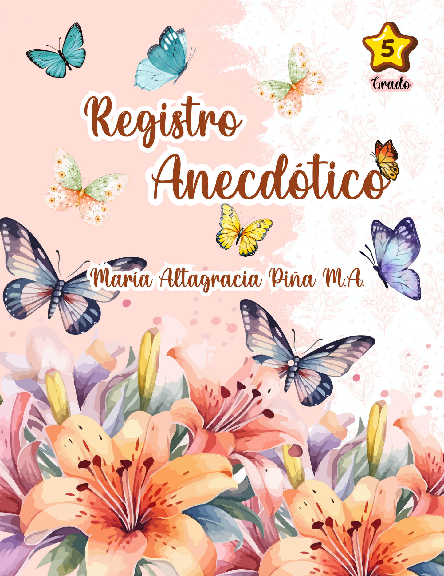 Registro Anecdótico – 2 Grupos de Primaria