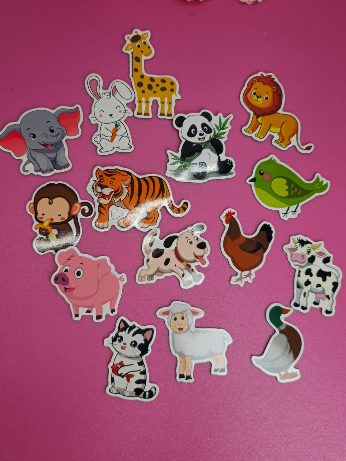 Combo de Imantados – Abecedario + Animales + Alimentos
