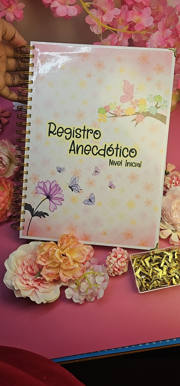 Registro Anecdótico NIVEL INICIAL (3 AÑOS)