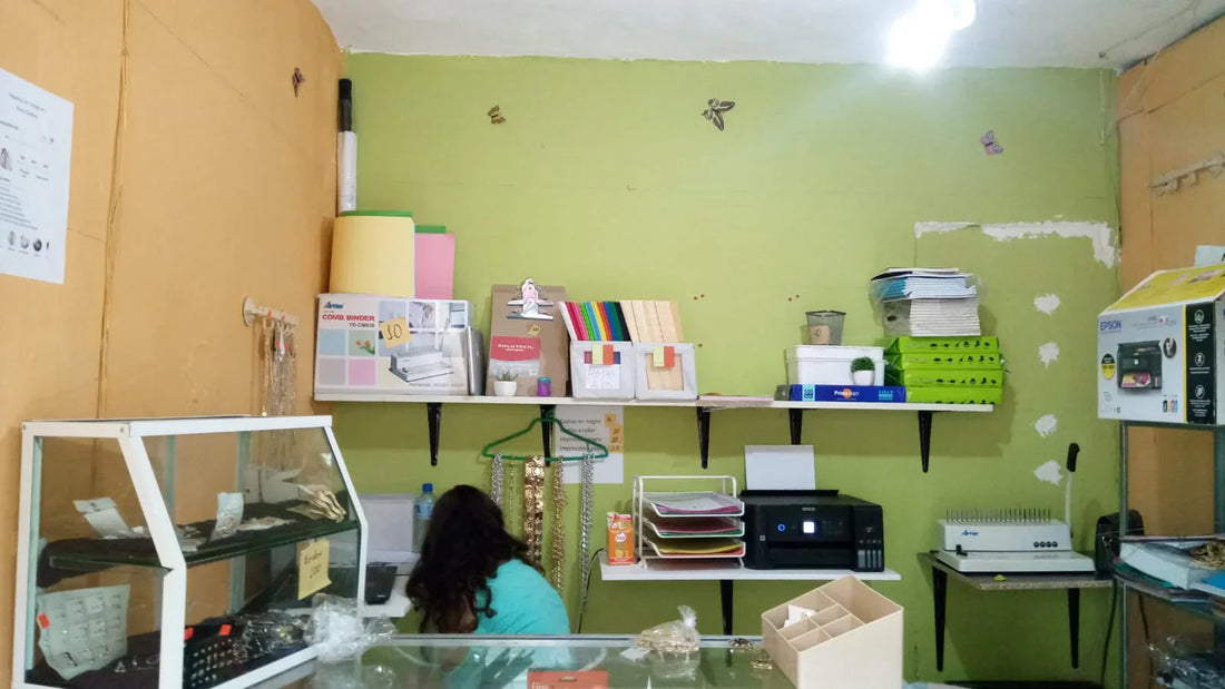 El Comienzo de un Sueño: De la Papelería a la Supervivencia (3)