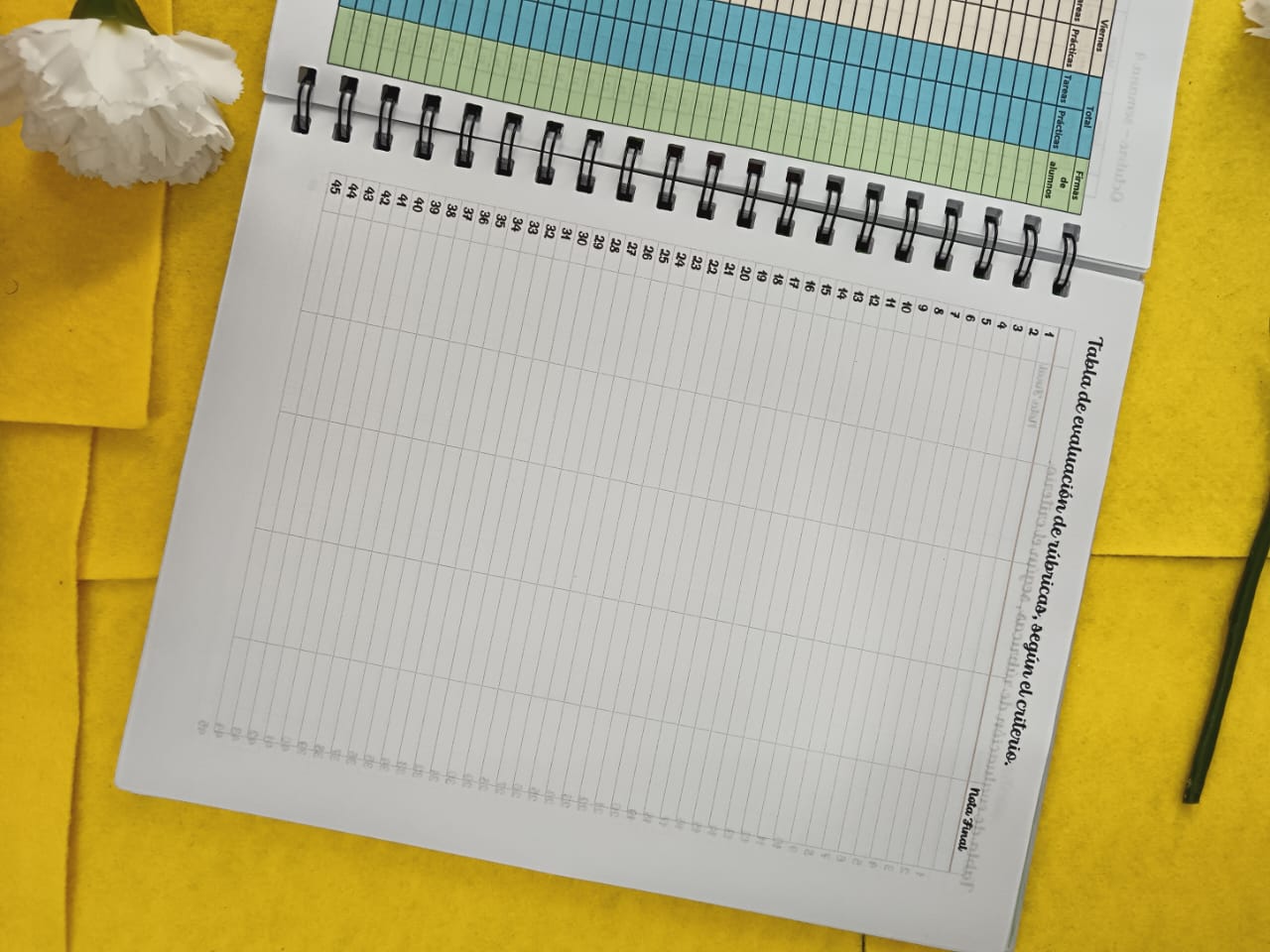 REGISTRO DE EVALUACIÓN