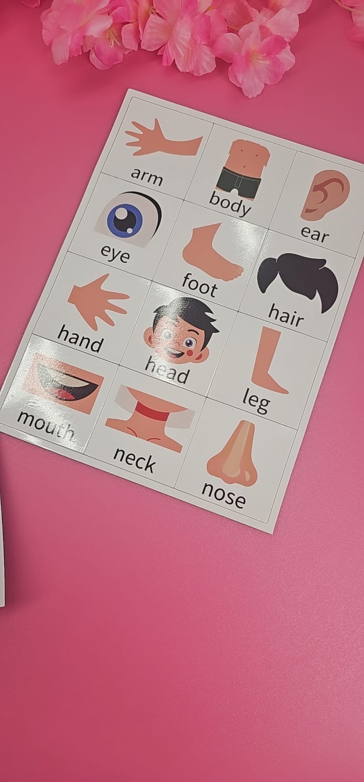 My Body Imantado – Partes del Cuerpo (Inglés) | Recurso Magnético