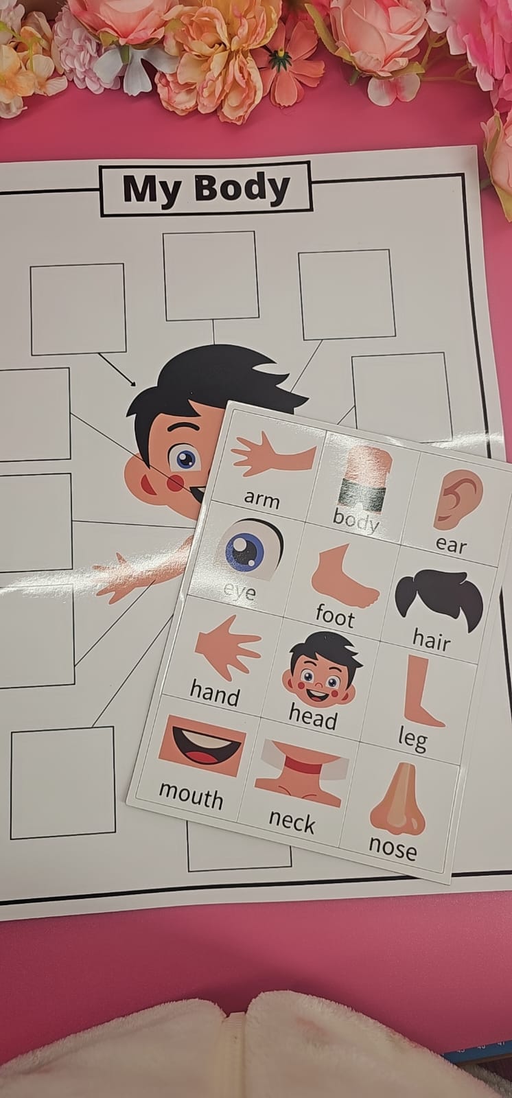 My Body Imantado – Partes del Cuerpo (Inglés) | Recurso Magnético