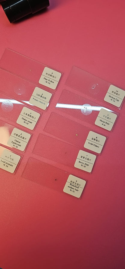 Microscopio Profesional Escolar