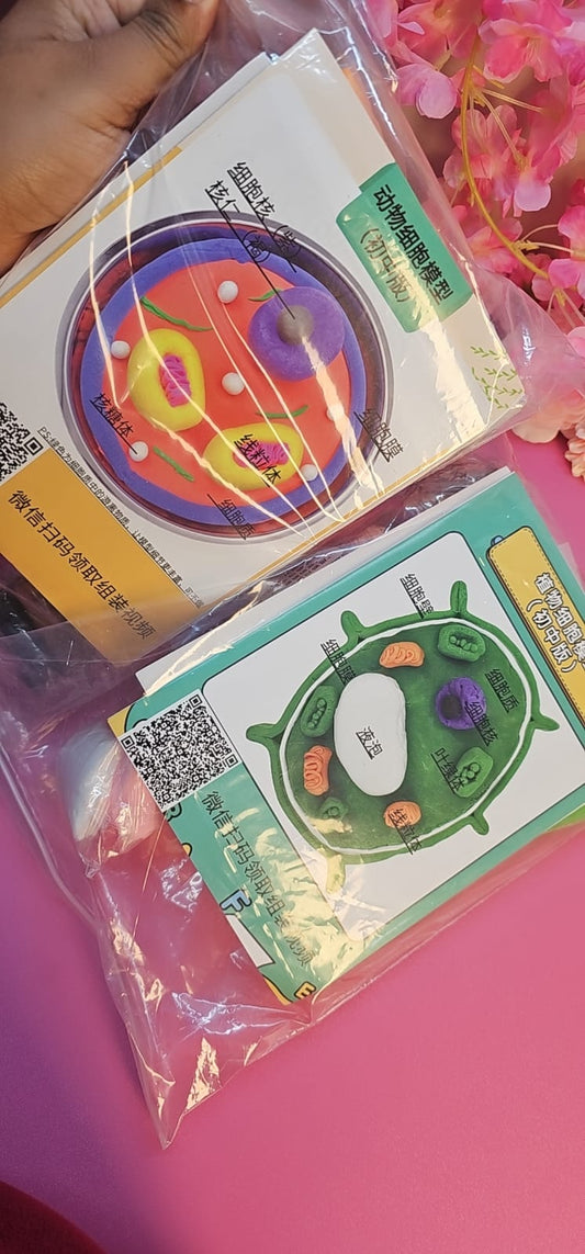 Kit de Modelado de Célula Animal y Vegetal